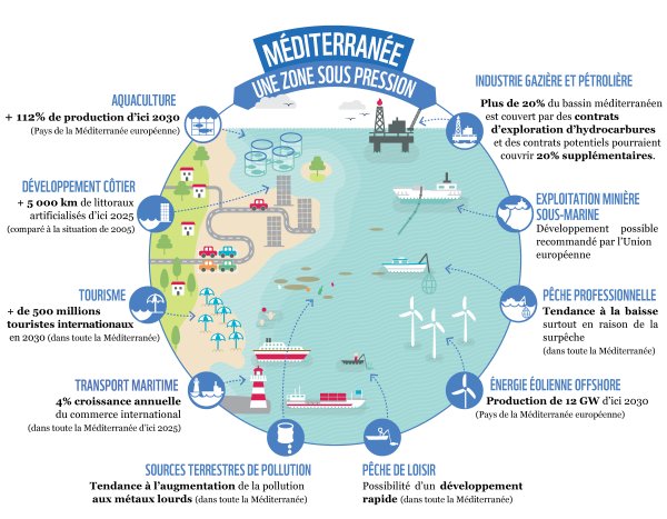I pericoli che corre il Mediterraneo,   secondo un'infografica del WWF @WWF (via Twitter)